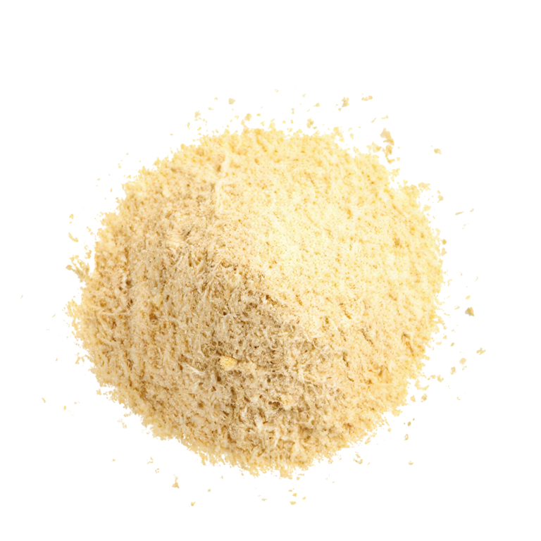 CEBOLLA