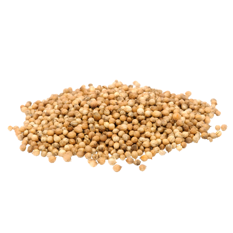 CILANTRO
