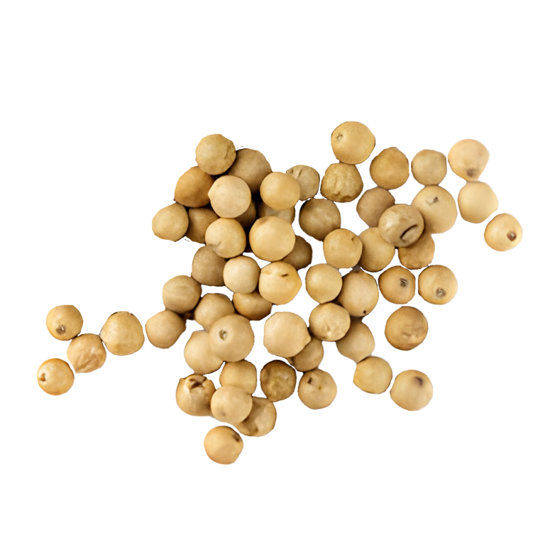 PIMIENTA BLANCA