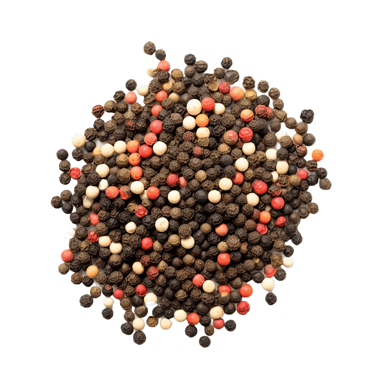 imagen principal catalogo